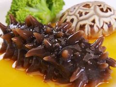 海参-SEA西雅图海鲜自助餐厅(正义店)