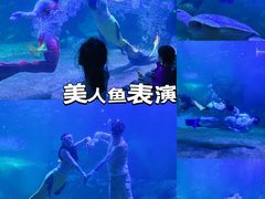 -左海海底世界
