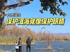 -洱海月湿地公园