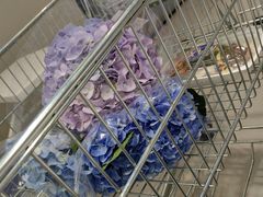 -盒马X会员店(上海森兰商都店)