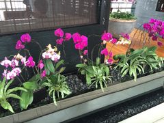 -广州富力君悦大酒店·关系酒廊