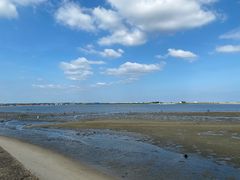 -北海金海湾红树林生态旅游区