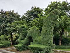 -金花茶公园