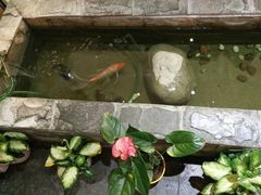 -湘与香缘·湖南菜(王府井北京市百货大楼店)