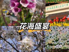 -苏州上方山国家森林公园