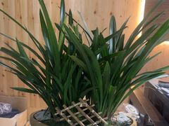 -东吴水韵(吴中店)