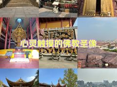 -上海东林寺(金山区)