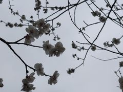 -无锡梅园公园