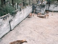 -台州府城(江南长城)