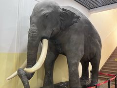 -国家自然博物馆