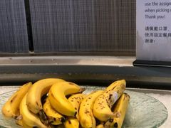 -上海世茂皇家艾美酒店