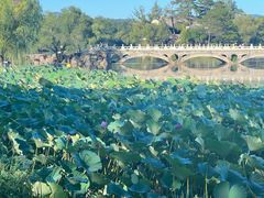 -承德避暑山庄景区