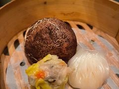 -Colony(新加坡丽思卡尔顿美年酒店)