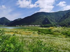 -大九湖