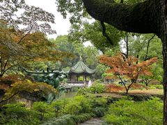 -申粤轩酒楼·三十年粤菜经典(丁香花园店)