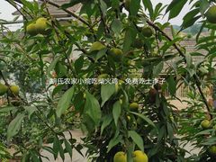 -胡氏农家小院柴火鸡