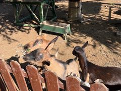 -清风小镇闯关东影视基地