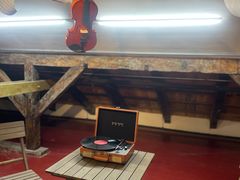 -树懒黑胶唱片店(中山路店)