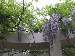 -眉山湿地公园(东坡区)