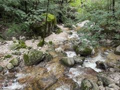 -牛背梁国家森林公园