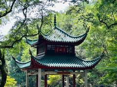 -7mall美食潮地标