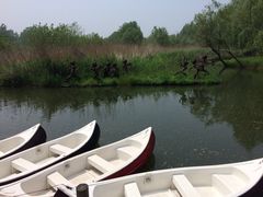 金陵饭店-南京金陵饭店