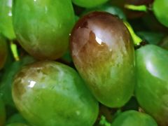 -江杨农产品批发市场