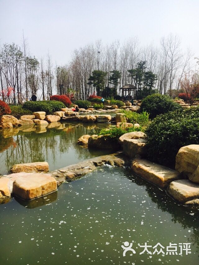 廖家沟湿地公园图片 - 第3张