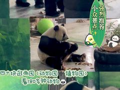-临沂动植物园