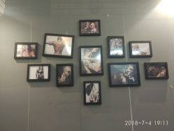 -明星刺青·洗纹身