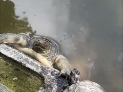 -阿育王寺