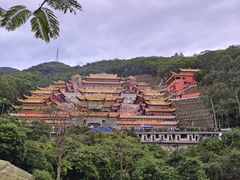 -东莞市大岭山森林公园