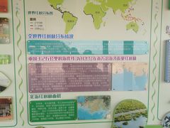 -北海金海湾红树林生态旅游区