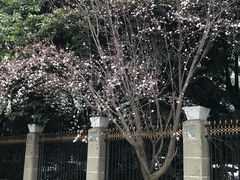 -四川广播电视台(世纪城路店)