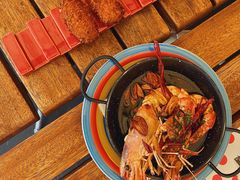 -TOMATITO(无限极荟店)