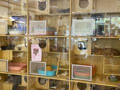 -平行世界·猫咖(首经贸店)