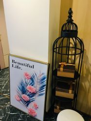 -INNEREAL英妮芮医疗美容