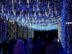 -长春公园(普阳街道)