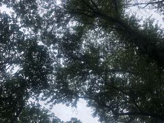 -大青沟风景区