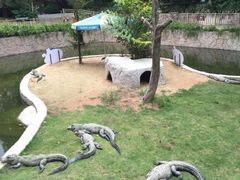 -深圳野生动物园