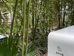 -成都市活水公园