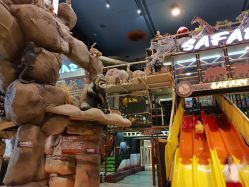 -卡通尼·Safari非洲探索乐园·生日会(金桥国际商业广场店)