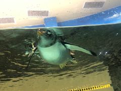 -成都浩海立方海洋公园