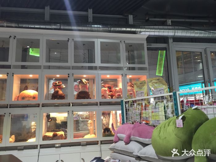 1013 pet shop 寵物商店(近鐵城市廣場店)圖片