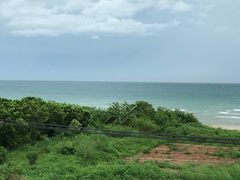 -贝壳沙滩