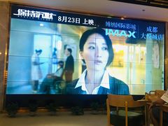 -博纳国际影城成都大悦城IMAX店