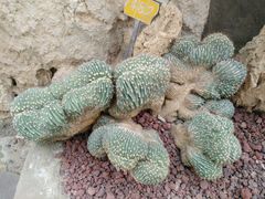 -南通洲际绿博园