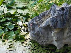 -高子水居