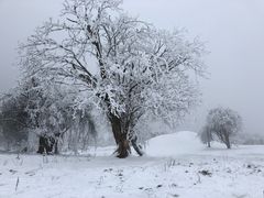 -太子岭滑雪场