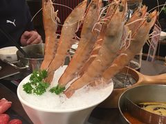 -舌尖记忆重庆火锅(悉尼店)